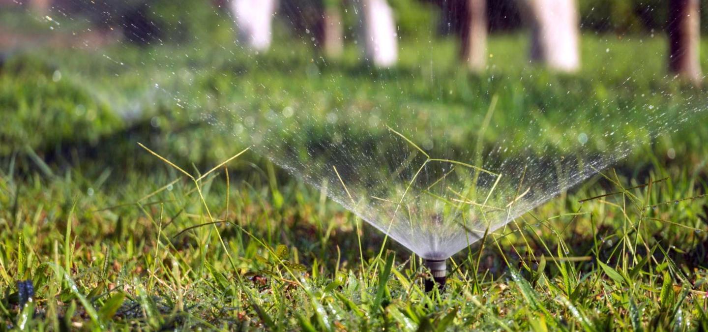 Pop-up lawn sprinkler head spraying a fan of water across green grass, with blurred tree trunks in the background
